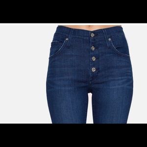 NWT James Jeans High class button fly skinny jeans